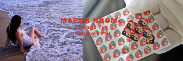 ешки Белокуриха