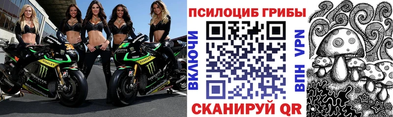 Галлюциногенные грибы мицелий  Очёр 